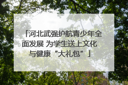 河北武强护航青少年全面发展 为学生送上文化与健康“大礼包”