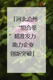 河北沧州：“组合拳”精准发力 助力企业创新突破