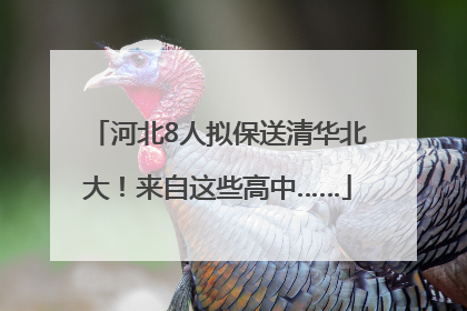 河北8人拟保送清华北大！来自这些高中……