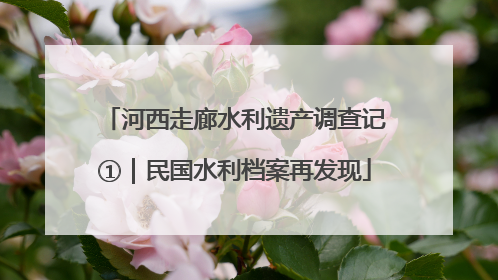 河西走廊水利遗产调查记①｜民国水利档案再发现