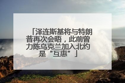 泽连斯基将与特朗普再次会晤，此前曾力陈乌克兰加入北约是“互惠”