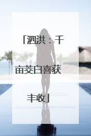 泗洪：千亩茭白喜获丰收