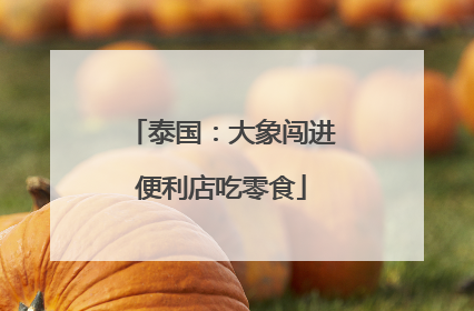 泰国：大象闯进便利店吃零食