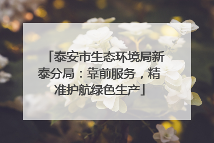 泰安市生态环境局新泰分局：靠前服务，精准护航绿色生产