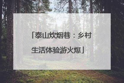 泰山炊烟巷：乡村生活体验游火爆
