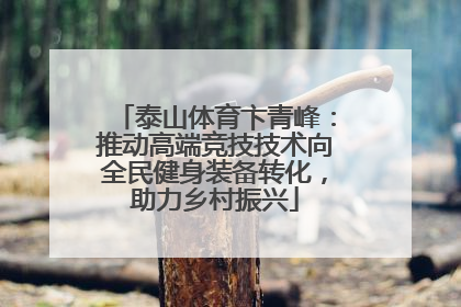 泰山体育卞青峰：推动高端竞技技术向全民健身装备转化，助力乡村振兴
