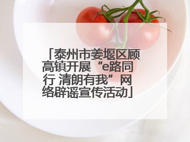 泰州市姜堰区顾高镇开展“e路同行 清朗有我”网络辟谣宣传活动