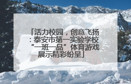 活力校园，创意飞扬：泰安市第一实验学校“一班一品”体育游戏展示精彩纷呈
