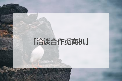 洽谈合作觅商机
