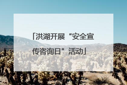 洪湖开展“安全宣传咨询日”活动