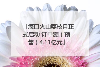 海口火山荔枝月正式启动 订单额（预售）4.11亿元