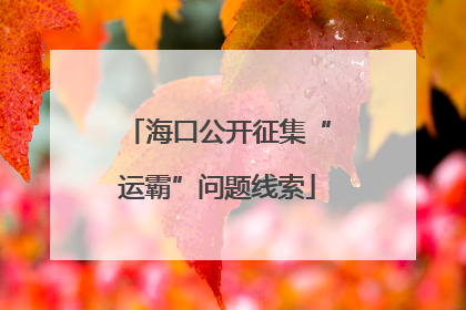 海口公开征集“运霸”问题线索
