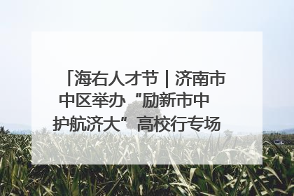 海右人才节｜济南市中区举办“励新市中 护航济大”高校行专场活动暨“青年人才 乐享市中”品牌推介会