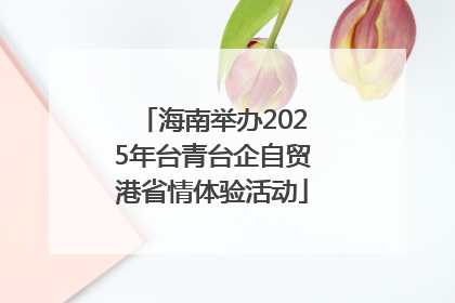 海南举办2025年台青台企自贸港省情体验活动