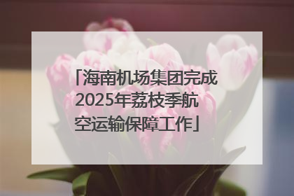 海南机场集团完成2025年荔枝季航空运输保障工作