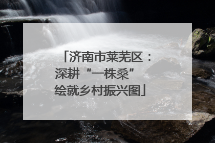 济南市莱芜区：深耕“一株桑” 绘就乡村振兴图