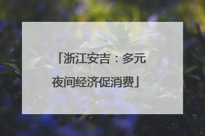 浙江安吉：多元夜间经济促消费
