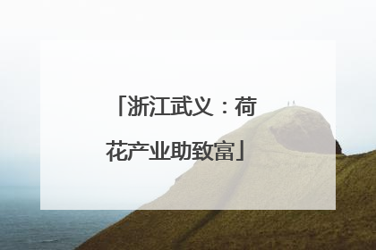 浙江武义：荷花产业助致富