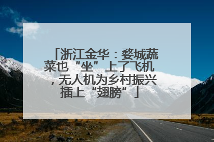 浙江金华：婺城蔬菜也“坐”上了飞机，无人机为乡村振兴插上“翅膀”