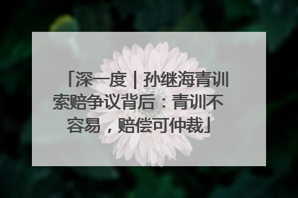 深一度｜孙继海青训索赔争议背后：青训不容易，赔偿可仲裁