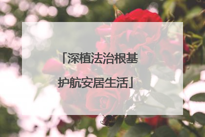 深植法治根基 护航安居生活