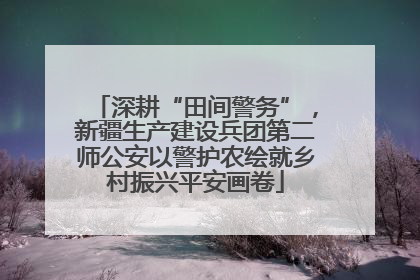 深耕“田间警务”，新疆生产建设兵团第二师公安以警护农绘就乡村振兴平安画卷