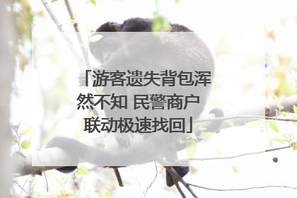 游客遗失背包浑然不知 民警商户联动极速找回