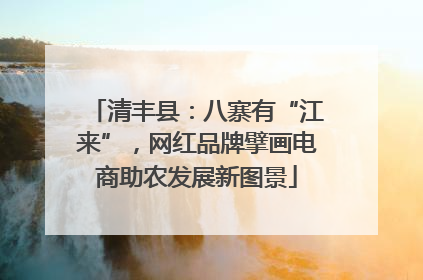 清丰县：八寨有“江来”，网红品牌擘画电商助农发展新图景