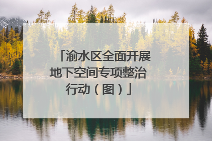 渝水区全面开展地下空间专项整治行动（图）