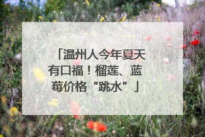 温州人今年夏天有口福！榴莲、蓝莓价格“跳水”
