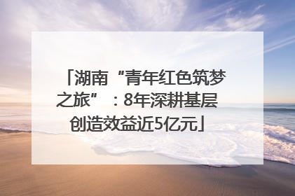 湖南“青年红色筑梦之旅”：8年深耕基层创造效益近5亿元