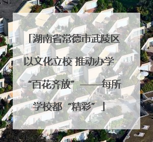 湖南省常德市武陵区以文化立校 推动办学“百花齐放”——每所学校都“精彩”