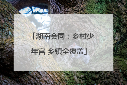 湖南会同：乡村少年宫 乡镇全覆盖