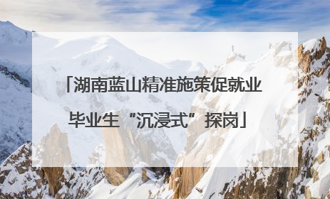 湖南蓝山精准施策促就业 毕业生“沉浸式”探岗