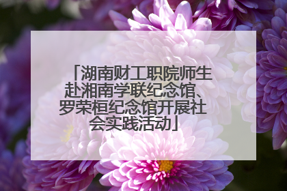 湖南财工职院师生赴湘南学联纪念馆、罗荣桓纪念馆开展社会实践活动