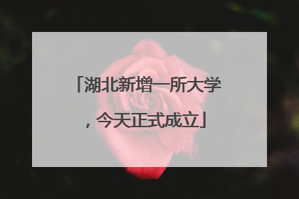 湖北新增一所大学，今天正式成立