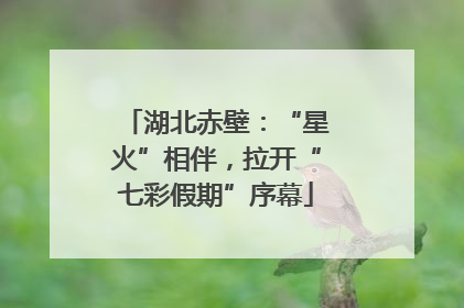 湖北赤壁：“星火”相伴，拉开“七彩假期”序幕