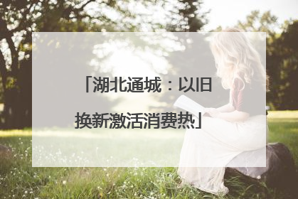 湖北通城：以旧换新激活消费热