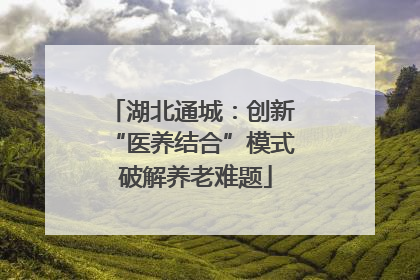 湖北通城：创新 “医养结合”模式 破解养老难题