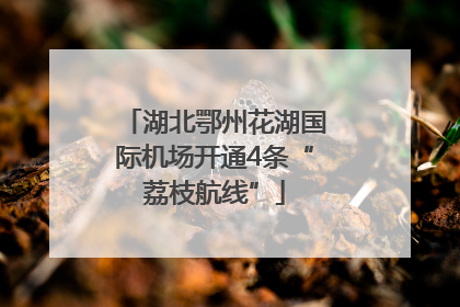 湖北鄂州花湖国际机场开通4条“荔枝航线”