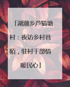 湖潮乡芦猫塘村：夜访乡村巷陌，驻村干部情暖民心