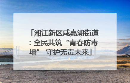 湘江新区咸嘉湖街道：全民共筑“青春防毒墙” 守护无毒未来