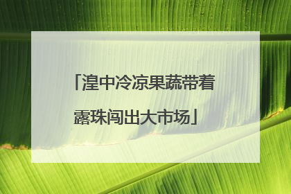 湟中冷凉果蔬带着露珠闯出大市场