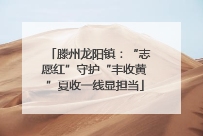 滕州龙阳镇：“志愿红”守护“丰收黄”夏收一线显担当