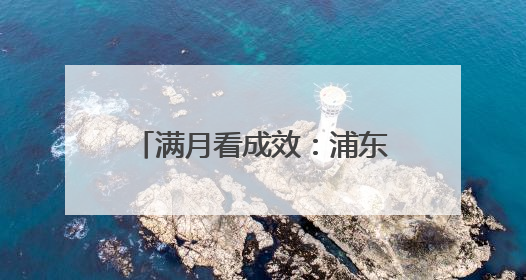 满月看成效：浦东用“两个100万”点亮青年人才梦想