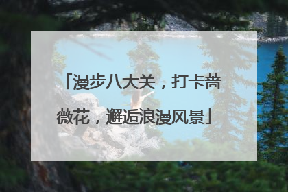 漫步八大关，打卡蔷薇花，邂逅浪漫风景