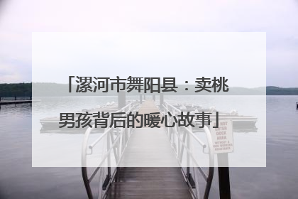 漯河市舞阳县：卖桃男孩背后的暖心故事
