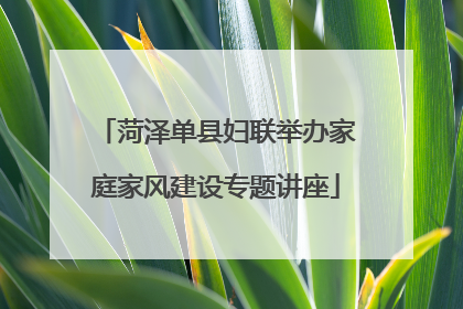 菏泽单县妇联举办家庭家风建设专题讲座