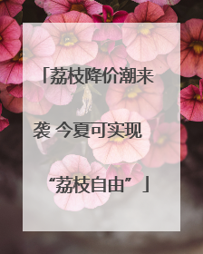 荔枝降价潮来袭 今夏可实现“荔枝自由”