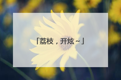 荔枝，开炫～